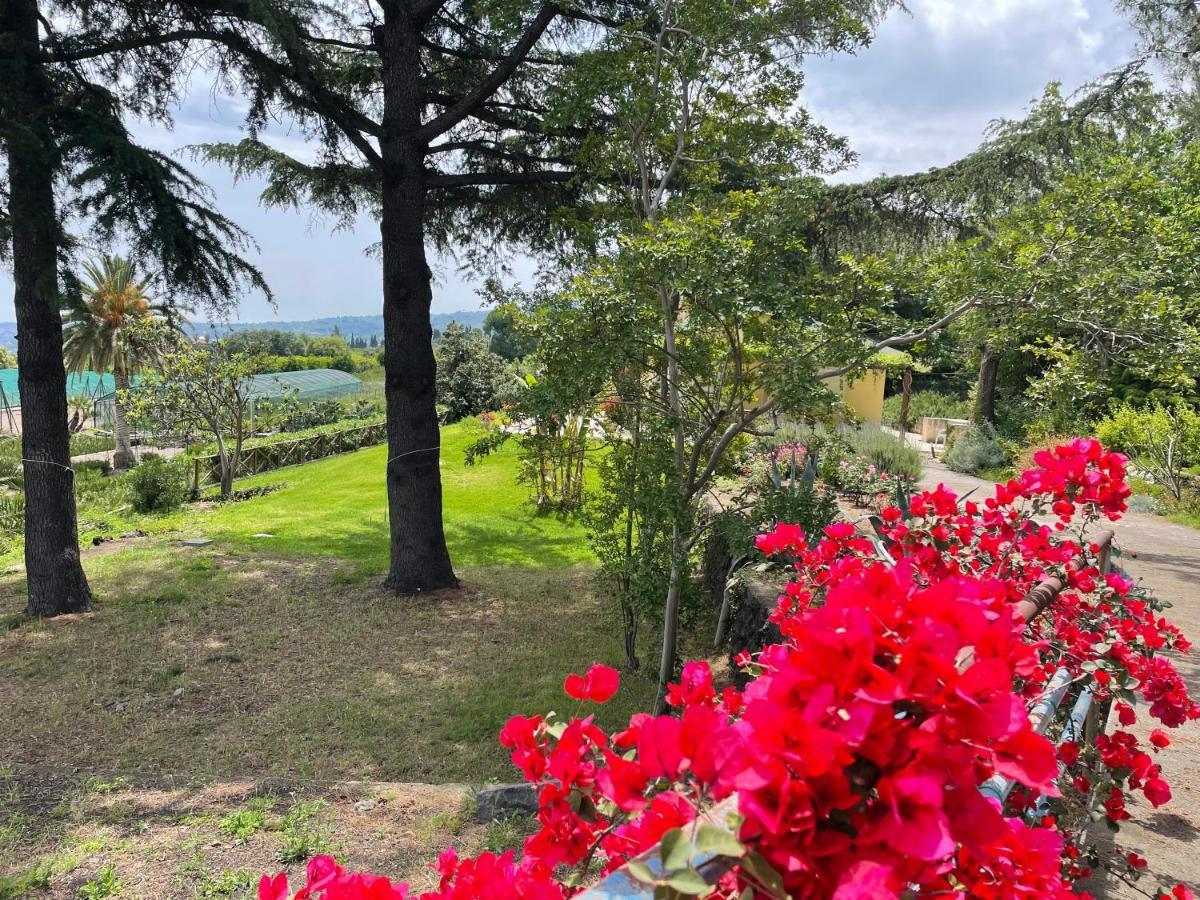 Villa Palm Hill Piedimonte Etneo Bagian luar foto