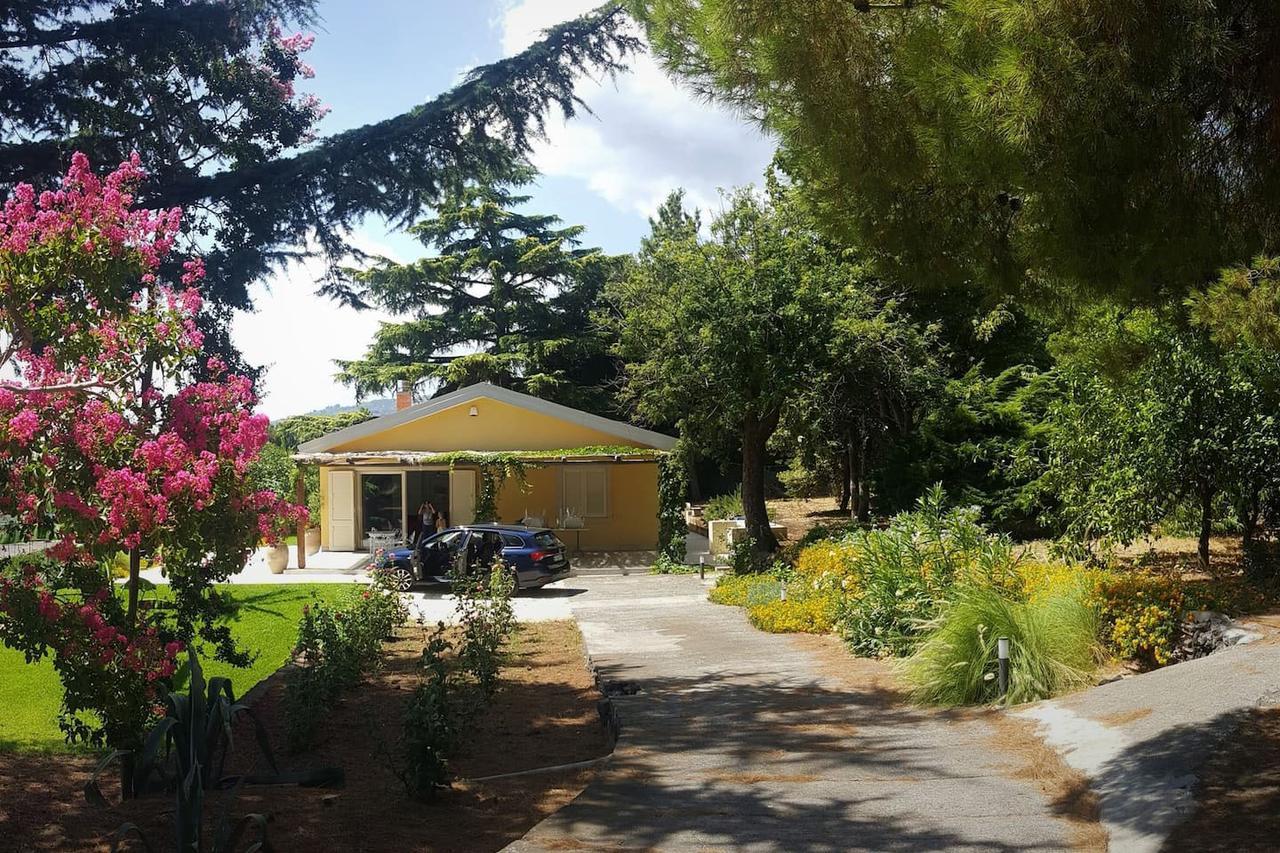 Villa Palm Hill Piedimonte Etneo Bagian luar foto