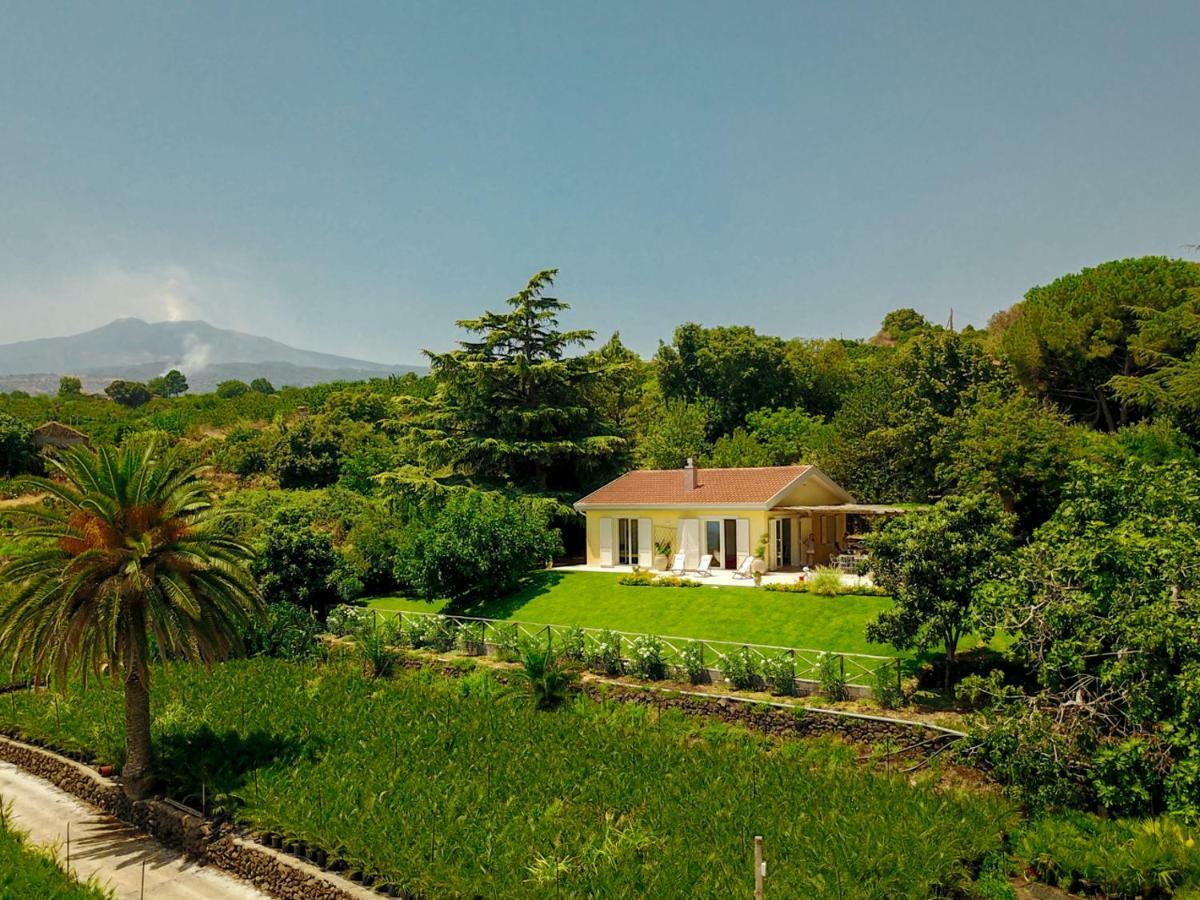 Villa Palm Hill Piedimonte Etneo Bagian luar foto